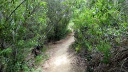 Buck Gully Hike